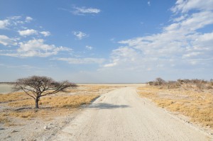 parc national etosha auto tour en namibie 4*4